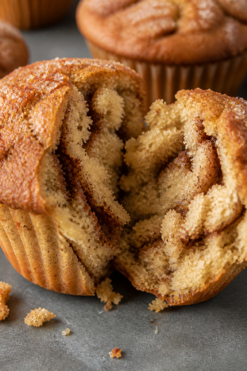 Close-up detail: A freshly baked Cinnamon Swirl Protein Muffin torn open to reveal the moist, tender