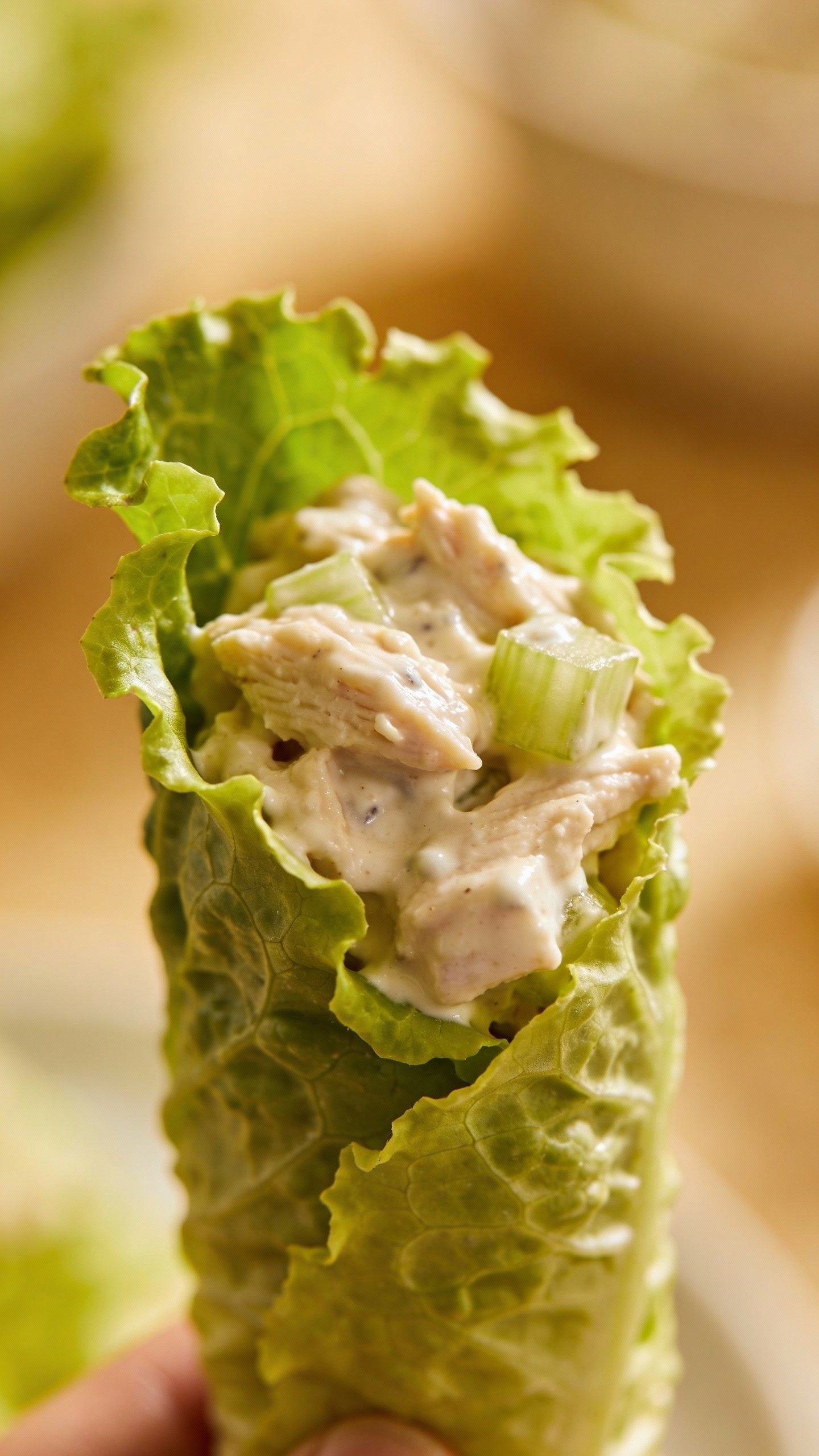 single butter lettuce wrap with creamy chicken salad