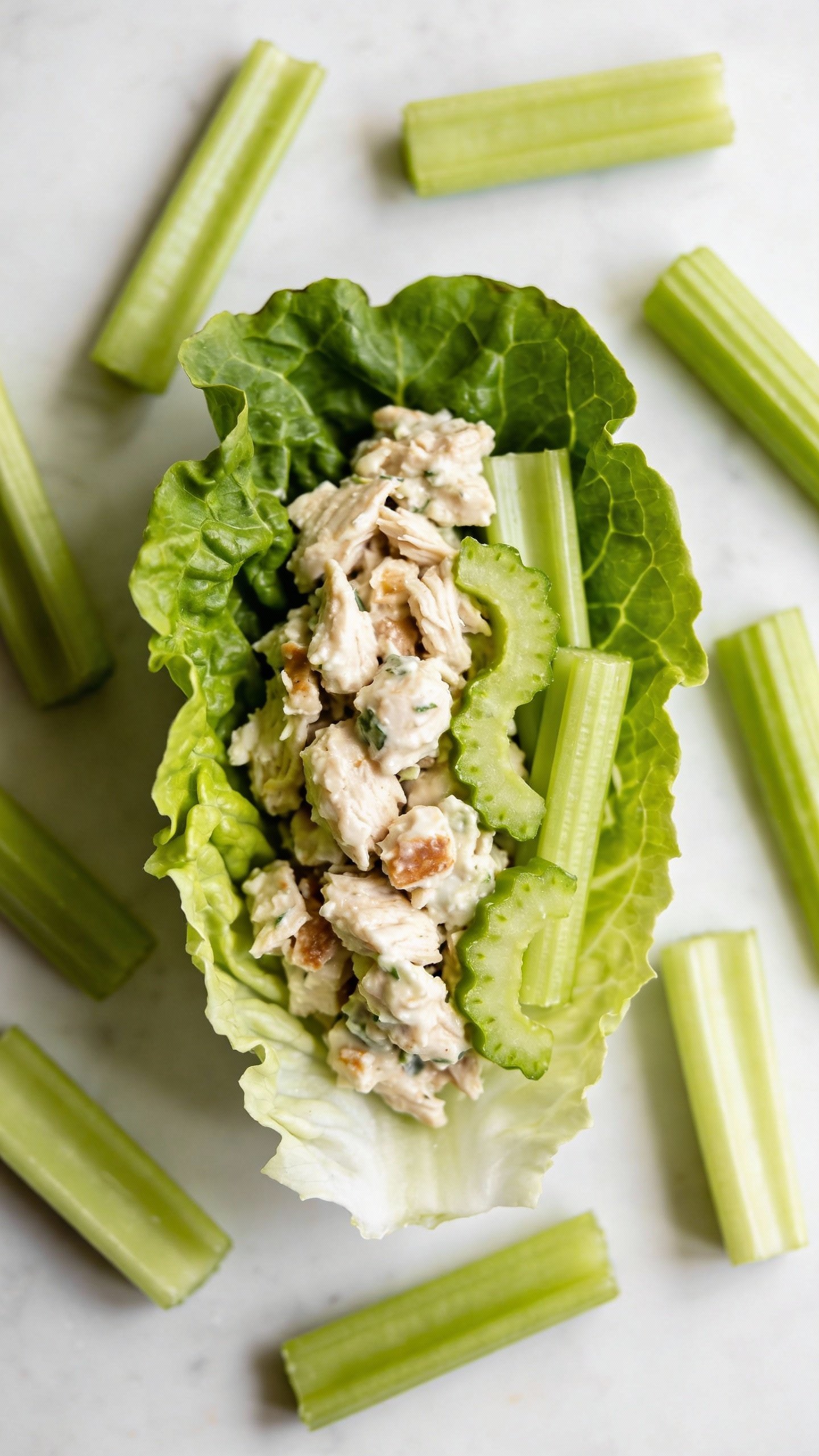 overhead chicken salad lettuce wrap with sliced celery garnish