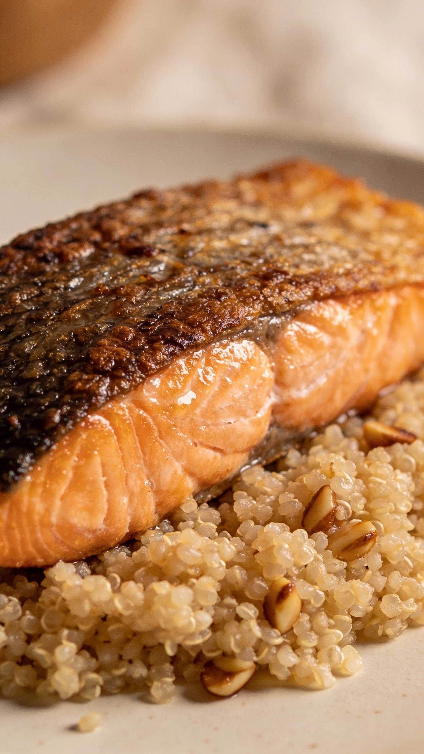 Seared salmon fillet on quinoa base, closeup, natural light