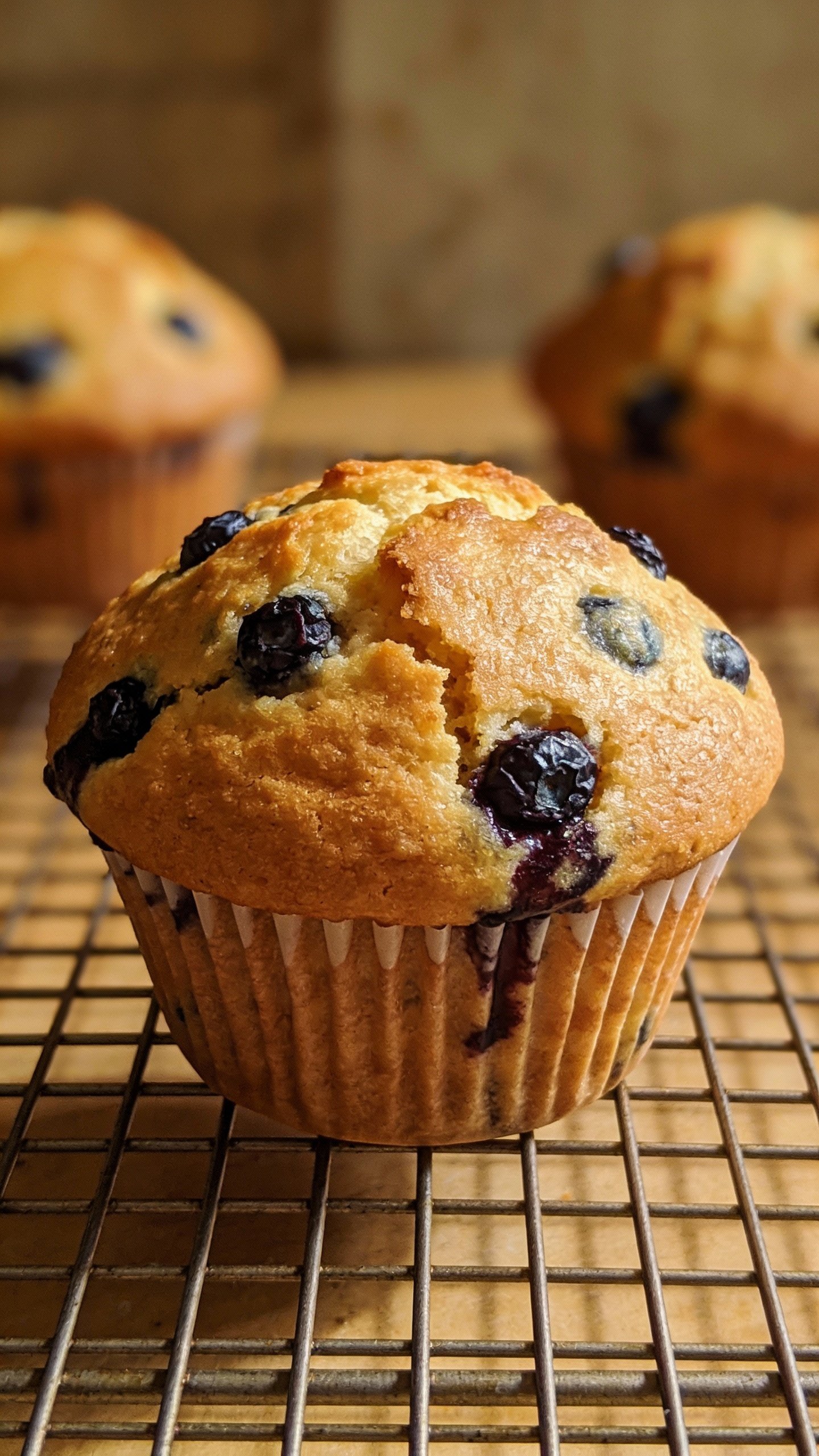 single blueberry muffin on cooling rack, golden domed top