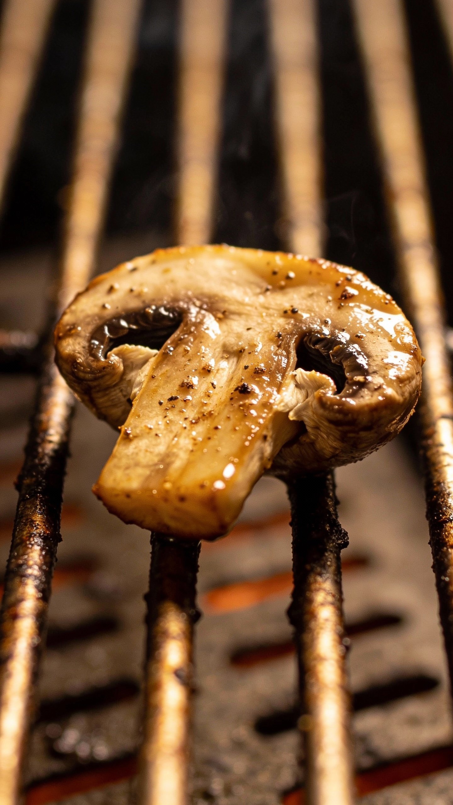 single seasoned portobello mushroom cap, glistening, on grill grates