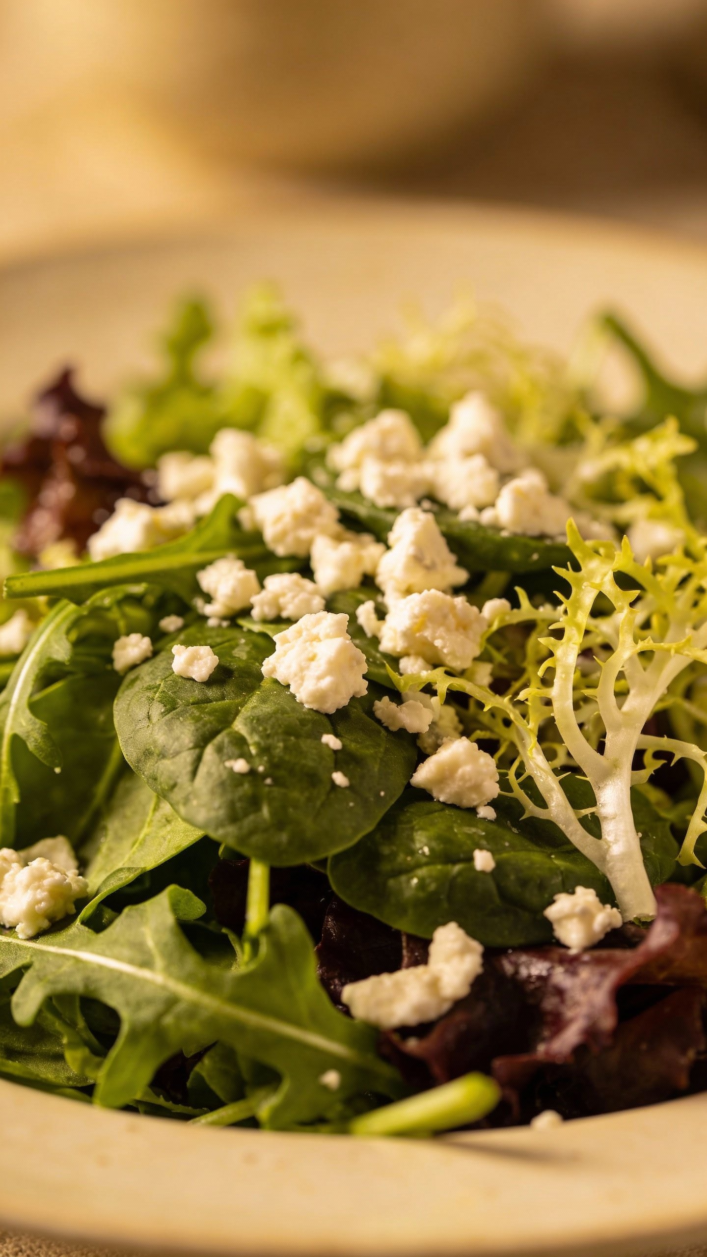 crumbled goat cheese on crisp mixed greens salad