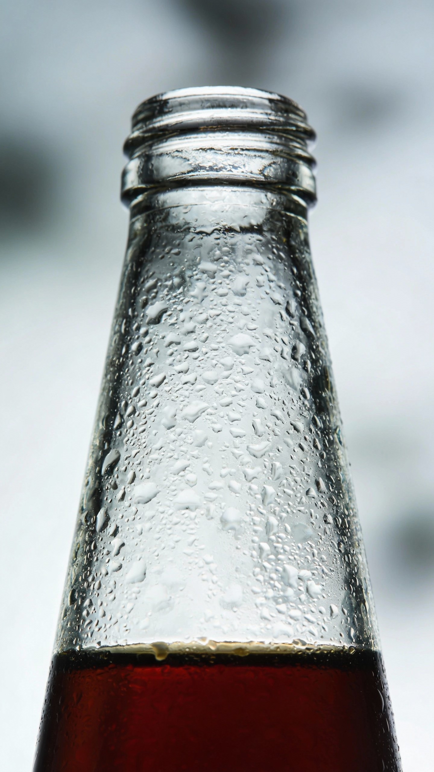 single cold brew concentrate bottle with condensation, studio lighting