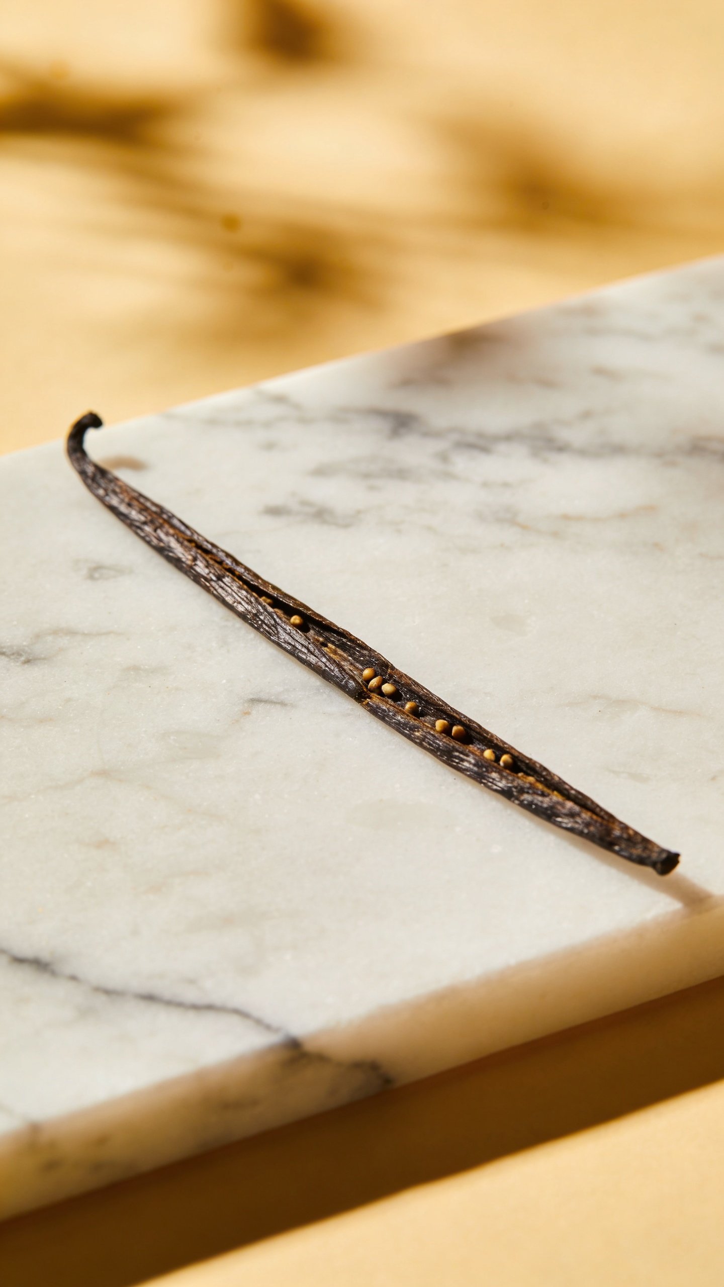 vanilla bean pod on marble slab, shallow depth of field